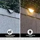 Solar Light